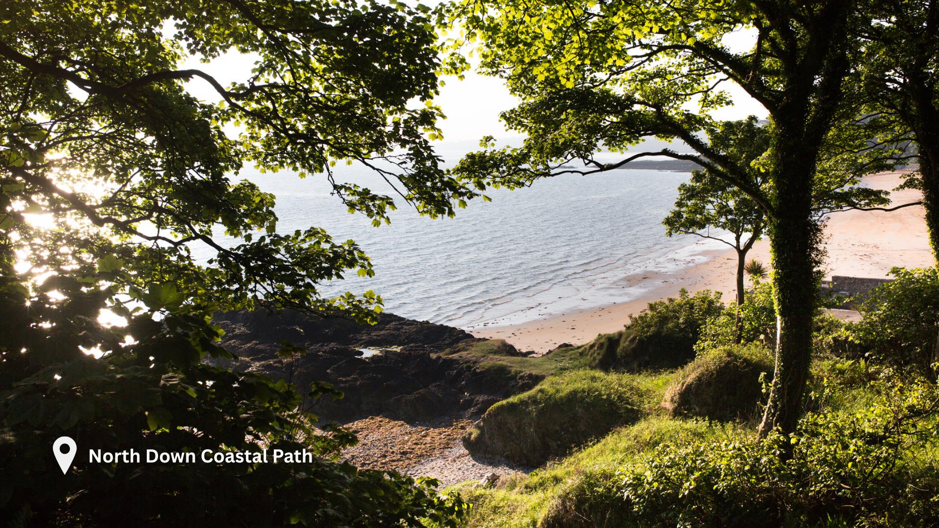 North Down Coastal Path, near Helen's Bay