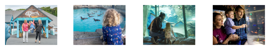 Four images of Exploris Aquarium and Seal Sanctuary, Portaferry