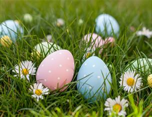 Easter eggs in grass