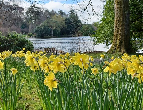 Lake Walk in  Spring