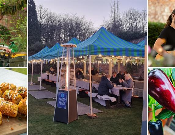 Collage of pics, evening BBQ in Bangor Castle Walled Garden, Chilli plant, sweetcorn, Lightfoot Kitchen barbequeing and musician playing guitar and si