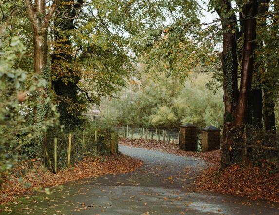 Tree Folklore Walk