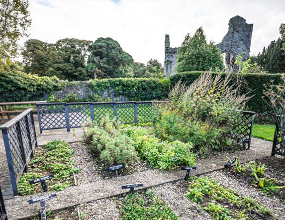 Greyabbey Physic Garden with Abbey in background