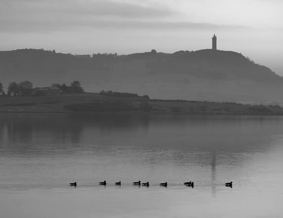 Misty morning on Strangford Lough