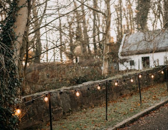 Winter Foraging at Ulster Folk Museum