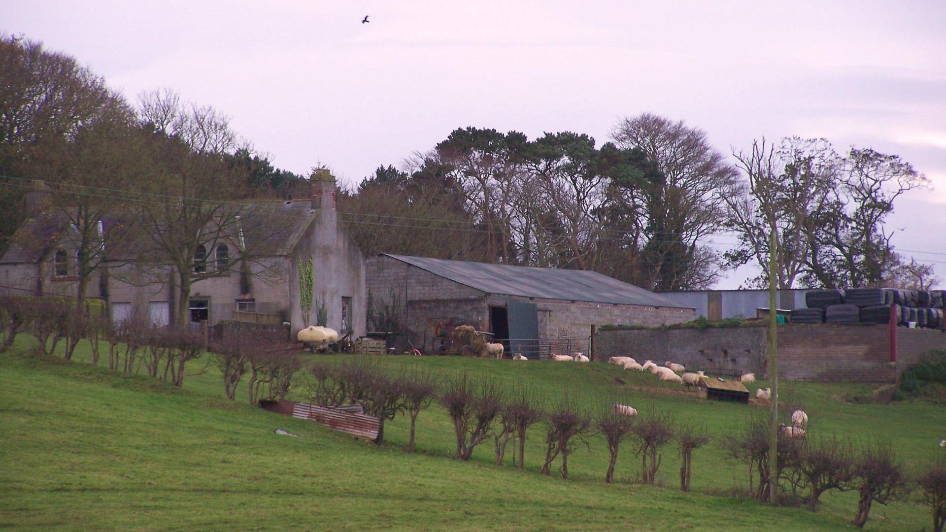 Ballyrolly Farm - Ards & North Down