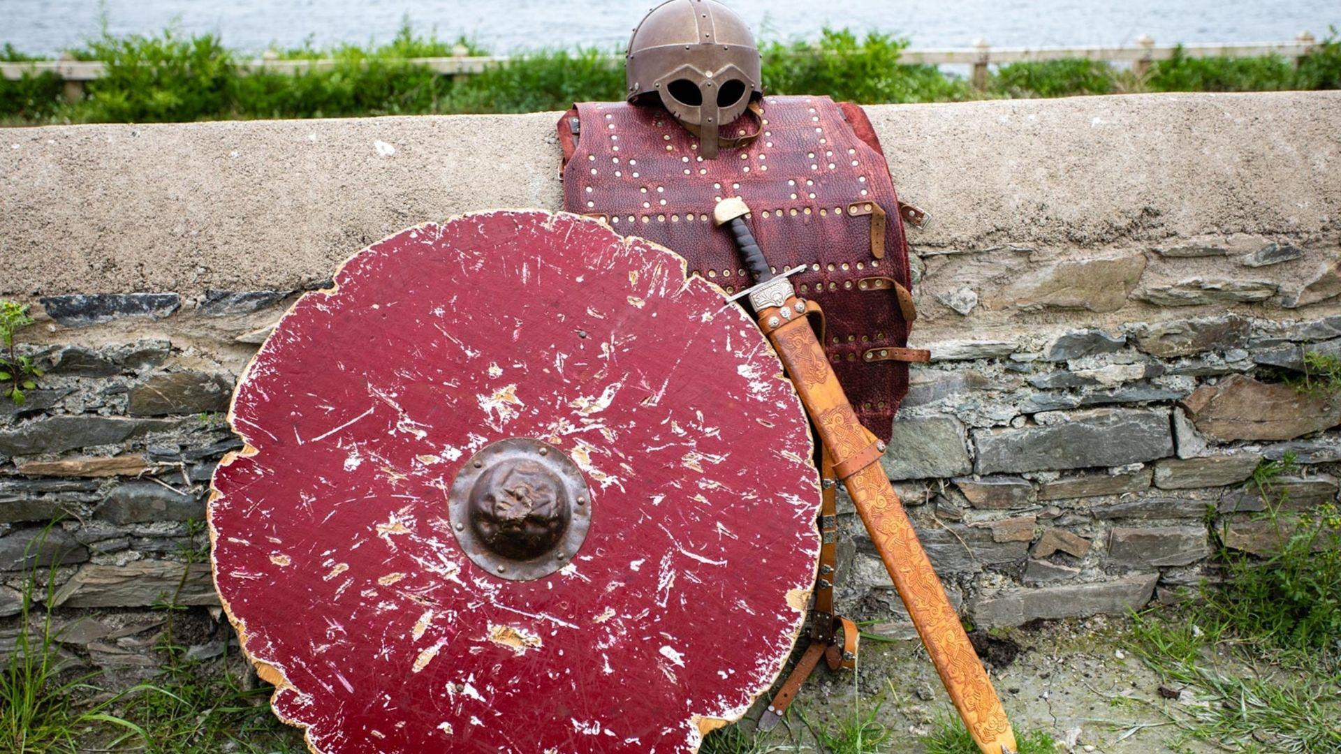 Vikings History