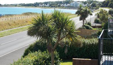 Front garden and roadway