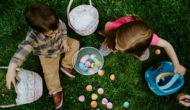 North Down Museum Easter Trail