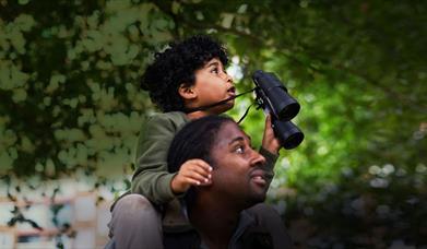 A boy on his father's shoulders, holding binoculars and looking up into the trees.