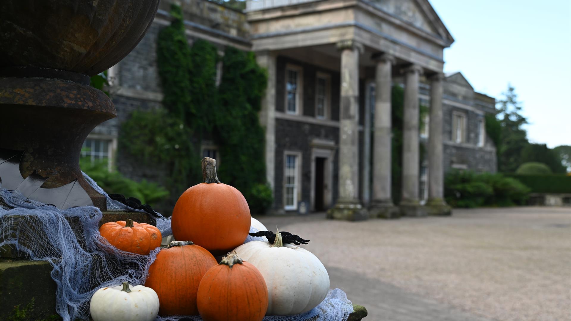 Pumpkins in front of the House