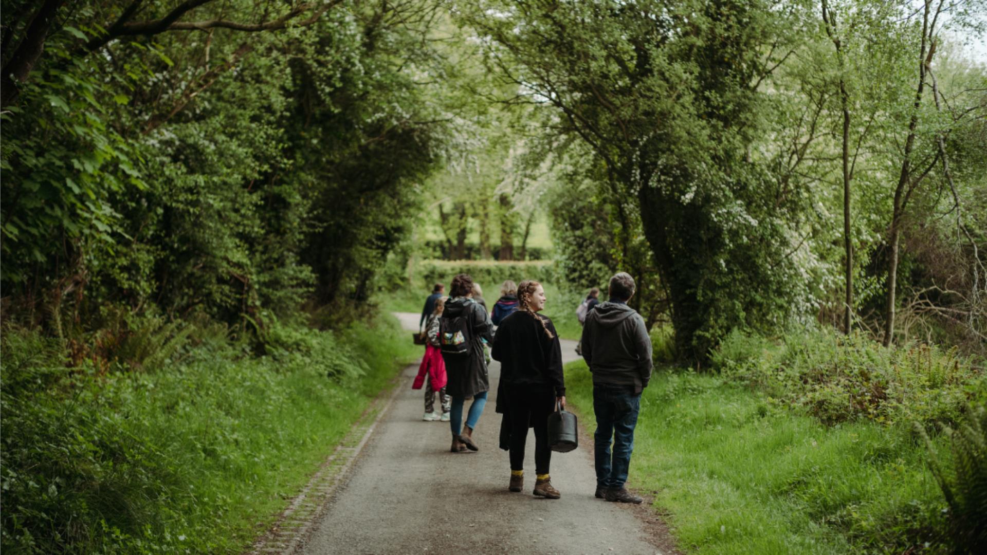 Wildflower Identification Workshop