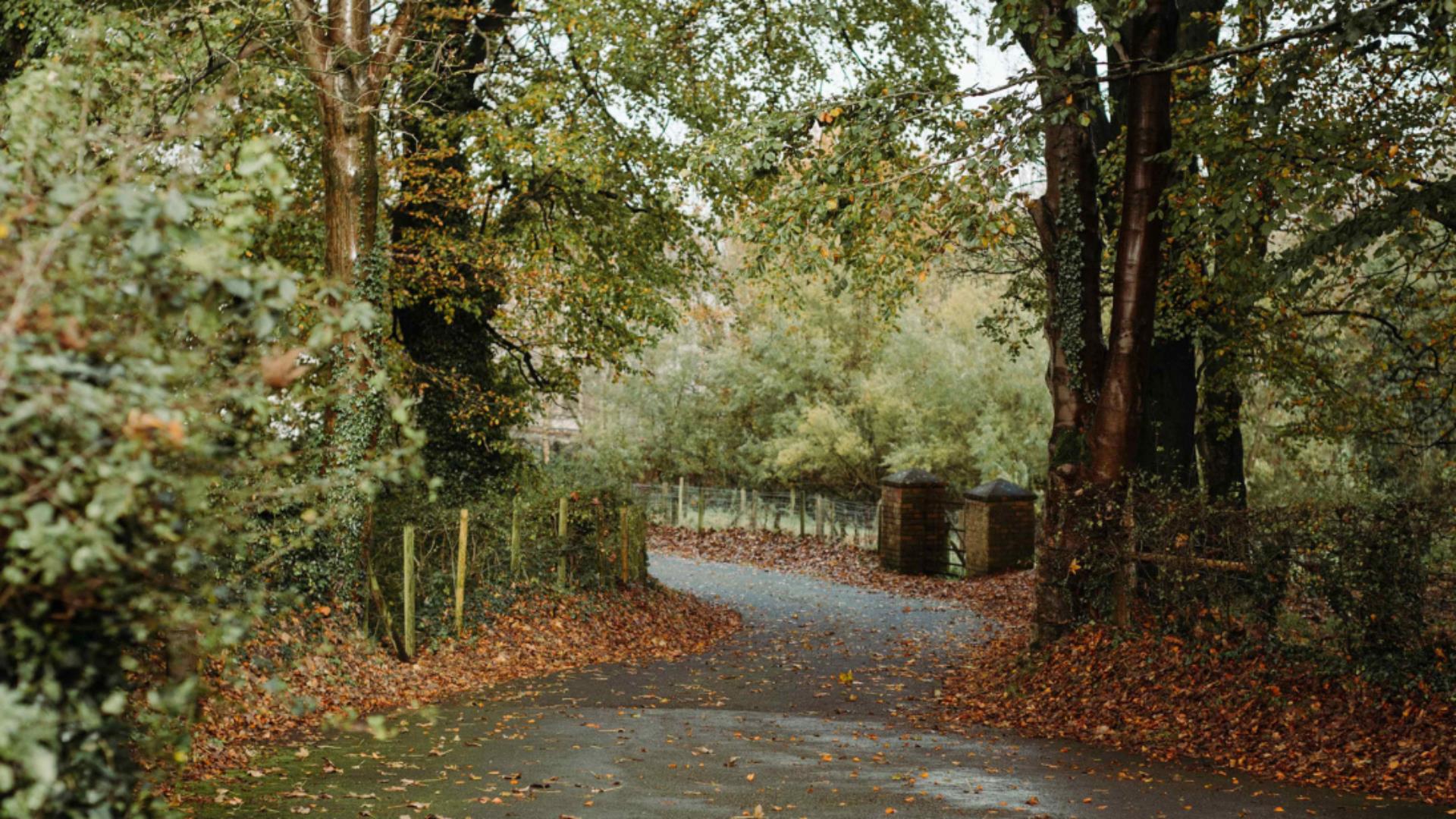 Tree Folklore Walk