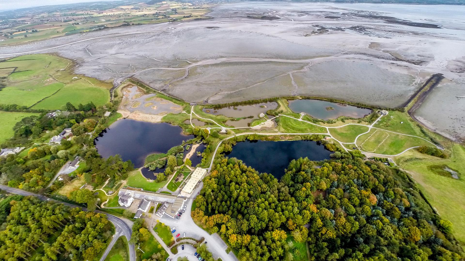 WWT Castle Espie EHOD 2024