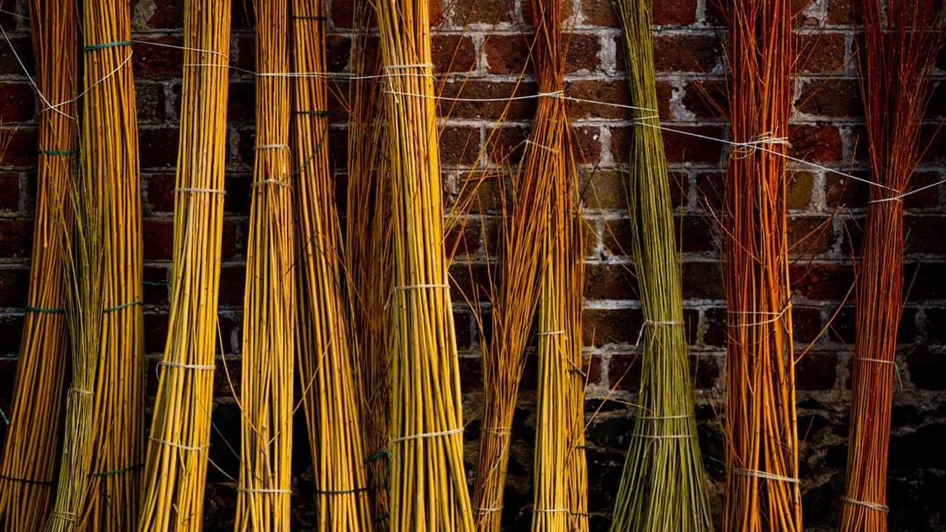 WILLOW DRYING OUT AGAINST A RED BRICK WALL