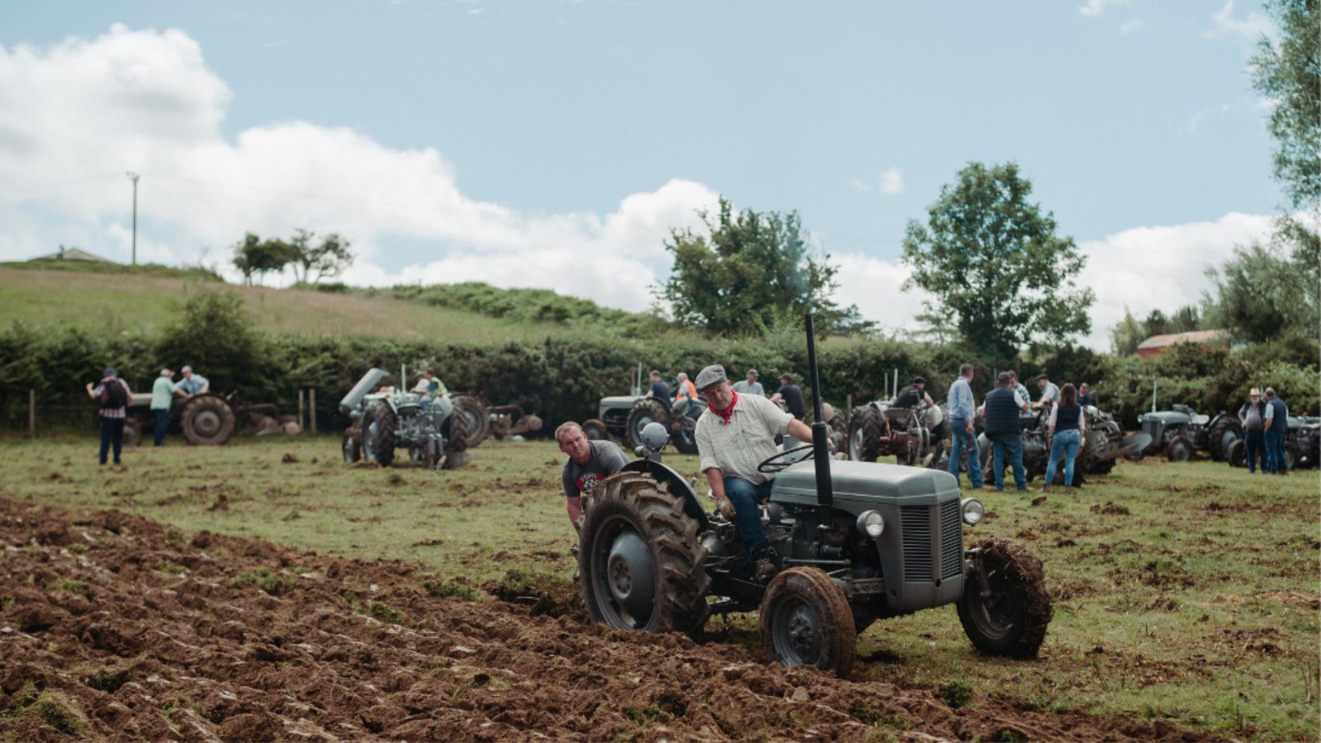 Tractors in a field