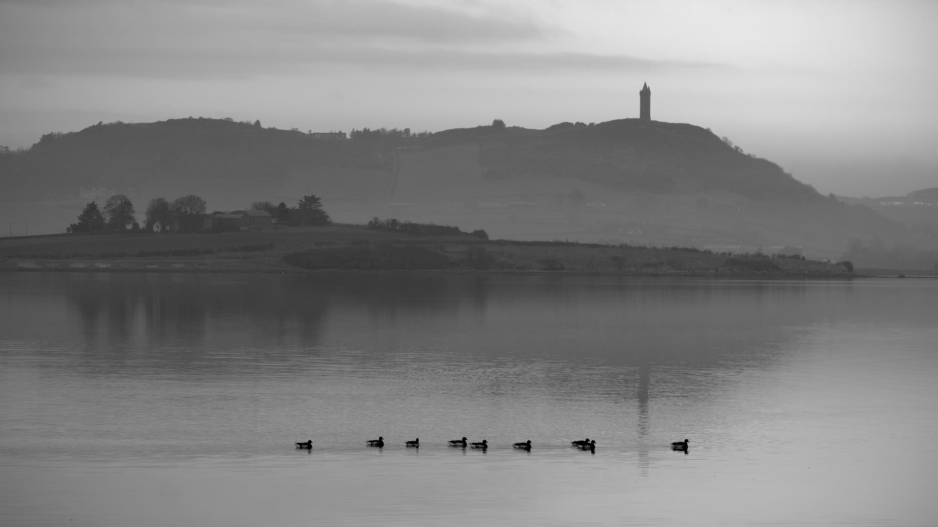 Misty morning on Strangford Lough