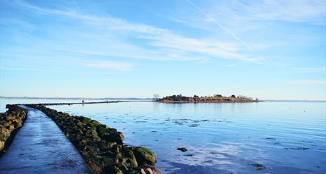 Island Hill  & North Strangford Nature Reserve