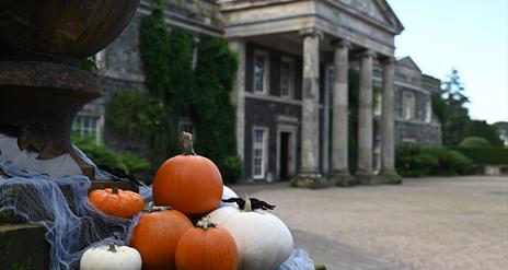 Pumpkins in front of the House