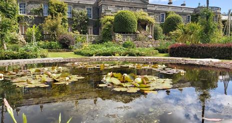 Mount Stewart Garden