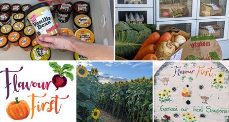 Collage of images including Flavour First logo, vending machines, sunflowers and Glastry Farm ice cream with Strawberries