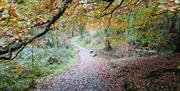 Cairngaver walking Trail in Cairnwood