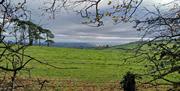 Viewpoint towards Newtownards and Strangford Lough at highest point on the Boundary or Cairngaver Trail at Cairnwood