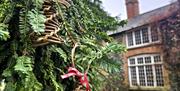 CHRISTMAS WILLOW BELLS HANGING FROM A TREE