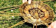 WEAVING WILLOW