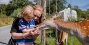 Image of mother and son feeding deer at The Ark Open Farm