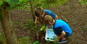 Two children looking for  minibeasts in the woodland.