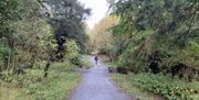 Cairngaver Trail and central access route at Cairnwood