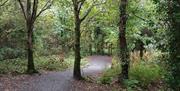 Ballysallagh Trail in Cairnwood for walking, wheeling and family cycling