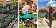 Collage of pictures from the 2023 event, stands selling products, walkabout entertainer and chilli plants