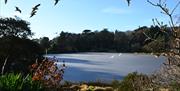 The lake and surrounding forest at Mount Stewart