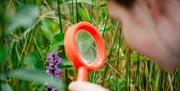 Child examining a flower up close using a magnifying glass.