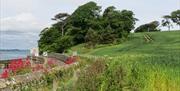 Nugent's Wood by Strangford Lough