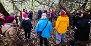 Singing in the woods