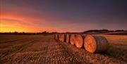 Haybales in October at Scrabo