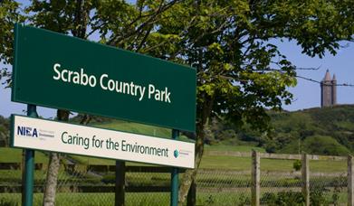 Image of the NIEA signpost entitled Scrabo County Park, caring for the environment with Scrabo Tower in background