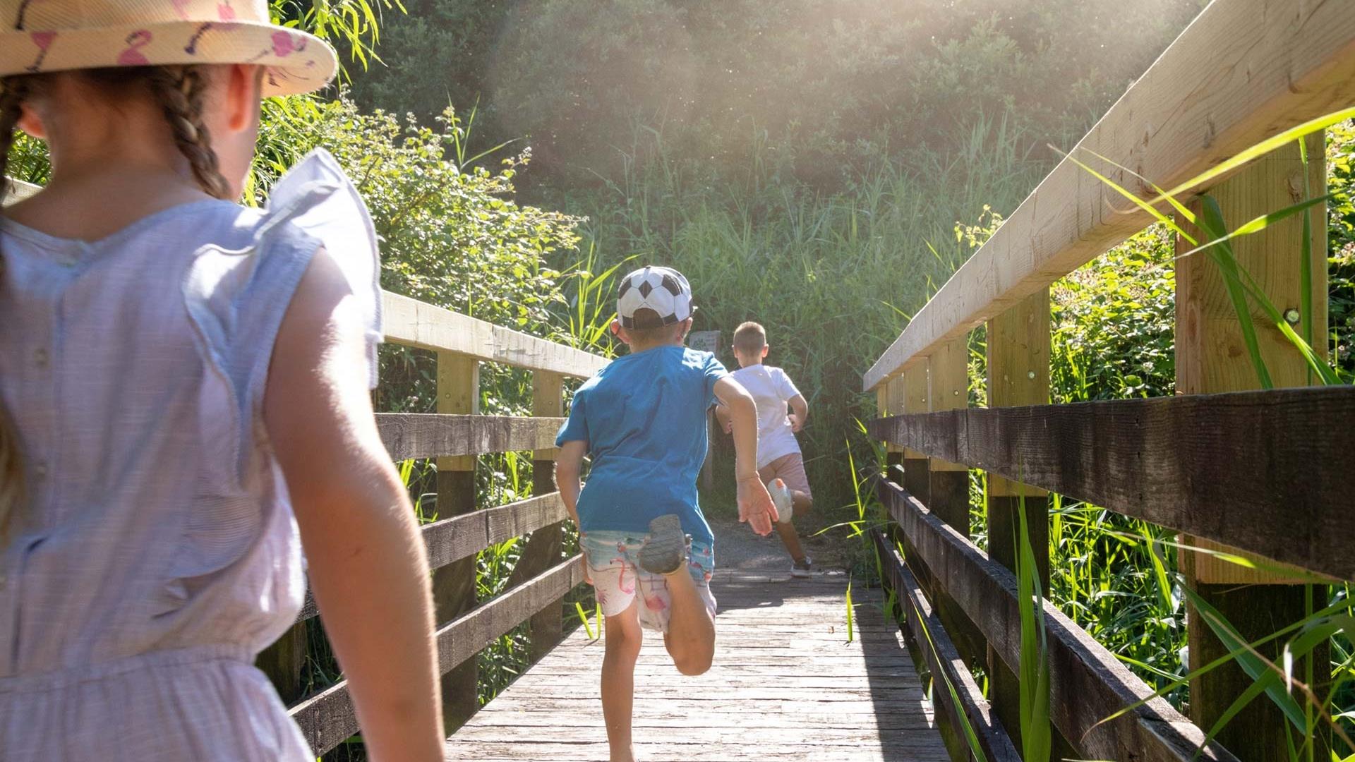 Children running across a bridge in the summer sun at the wetlands. Children running across a bridge in the summer sun at the wetlands.